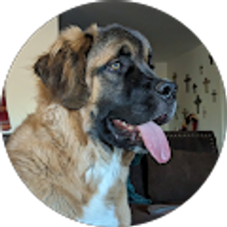 Profile photo of Kristin Smith