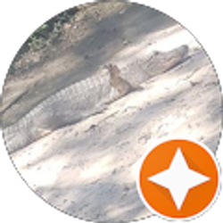 Profile photo of Jessica Sayers-Payne