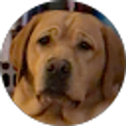 Profile photo of Madeleine Niemiec