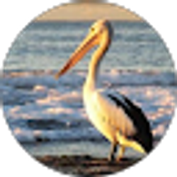 Profile photo of Michelle Croissier