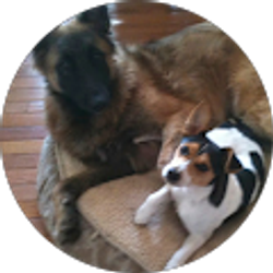 Profile photo of Jamie Cox