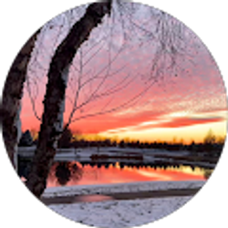 Profile photo of Sue Marx