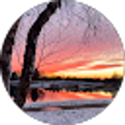 Profile photo of Sue Marx