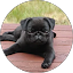 Profile photo of Precious Isidro