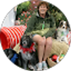 Profile photo of Denise Patterson