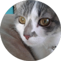 Profile photo of Jan Webb