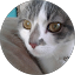 Profile photo of Jan Webb