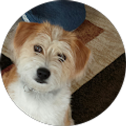 Profile photo of Betty Deck