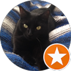 Profile photo of Jess