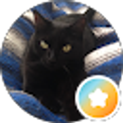 Profile photo of Jess