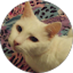 Profile photo of Kasey
