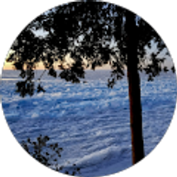 Profile photo of Danny Davis