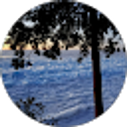 Profile photo of Danny Davis