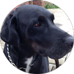 Profile photo of Eulah Oconnor