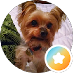 Profile photo of Oogie G