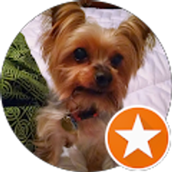 Profile photo of Oogie G