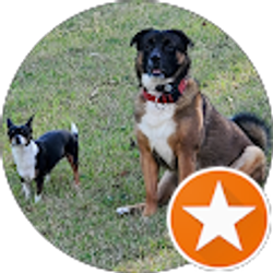 Profile photo of James R