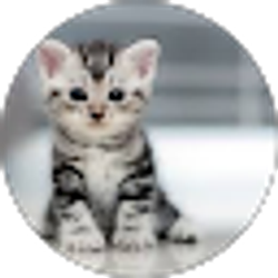 Profile photo of Aimee DeRogatis