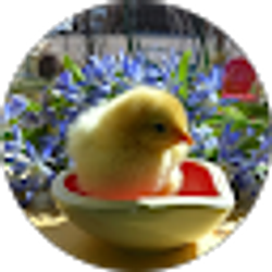 Profile photo of Elizabeth Lewallen