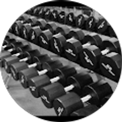 Profile photo of Titus Will