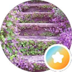 Profile photo of Nancy