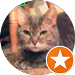 Profile photo of Melinda Elizabeth