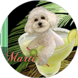 Profile photo of Martina Oaten