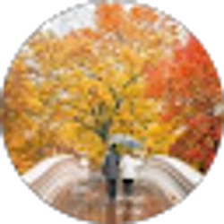 Profile photo of Lessett Silvagnoli