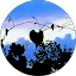 Profile photo of Cristal N