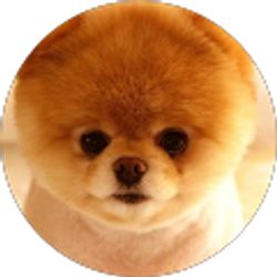 Profile photo of Marika T