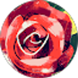 Profile photo of Courtney D.