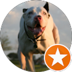 Profile photo of ricky mouton