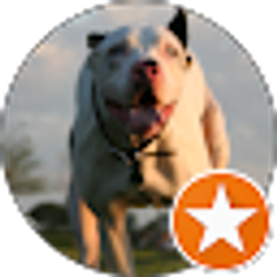 Profile photo of ricky mouton