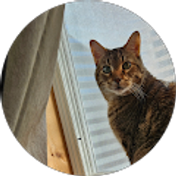 Profile photo of Dominique Dubois