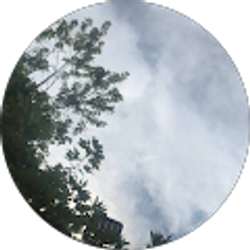 Profile photo of S Danielle