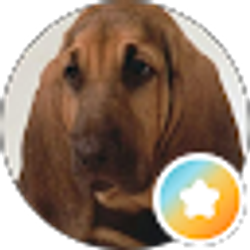 Profile photo of Terri Lohmier