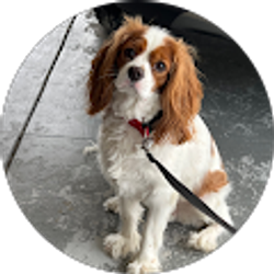 Profile photo of Donna Fairhurst