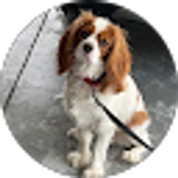 Profile photo of Donna Fairhurst