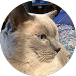 Profile photo of Pam Nesius