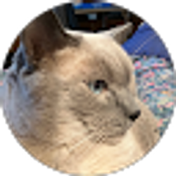 Profile photo of Pam Nesius