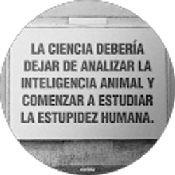 Profile photo of Geovanny Moreno