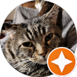 Profile photo of Judy Jenkins