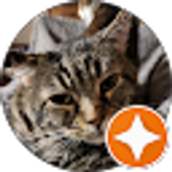 Profile photo of Judy Jenkins