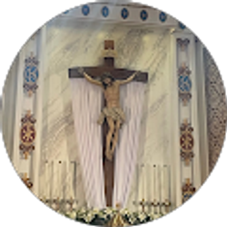 Profile photo of Travis Haynes