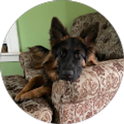 Profile photo of E C