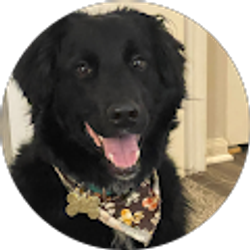 Profile photo of Ketty Lopez