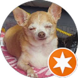 Profile photo of Judy