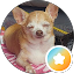 Profile photo of Judy