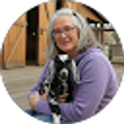 Profile photo of Dawn Dolan