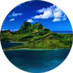 Profile photo of Lee-Ann Vennie